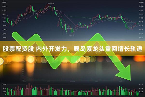 股票配资股 内外齐发力，胰岛素龙头重回增长轨道
