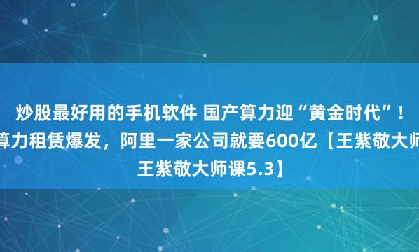 炒股最好用的手机软件 国产算力迎“黄金时代”！千亿级算力租赁爆发，阿里一家公司就要600亿【王紫敬大师课5.3】